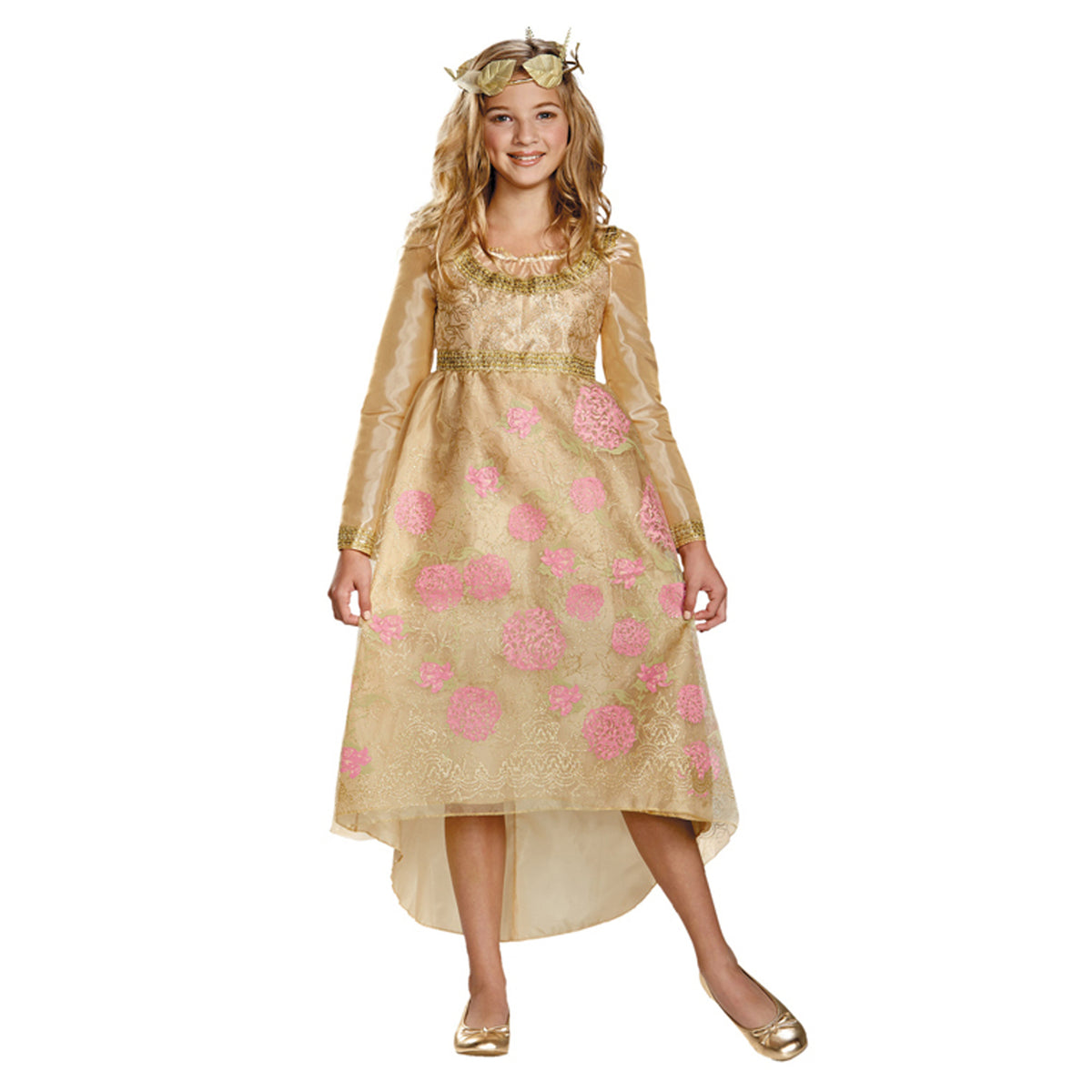 Sleeping Beaty Aurora Golden Dress Kids image 0